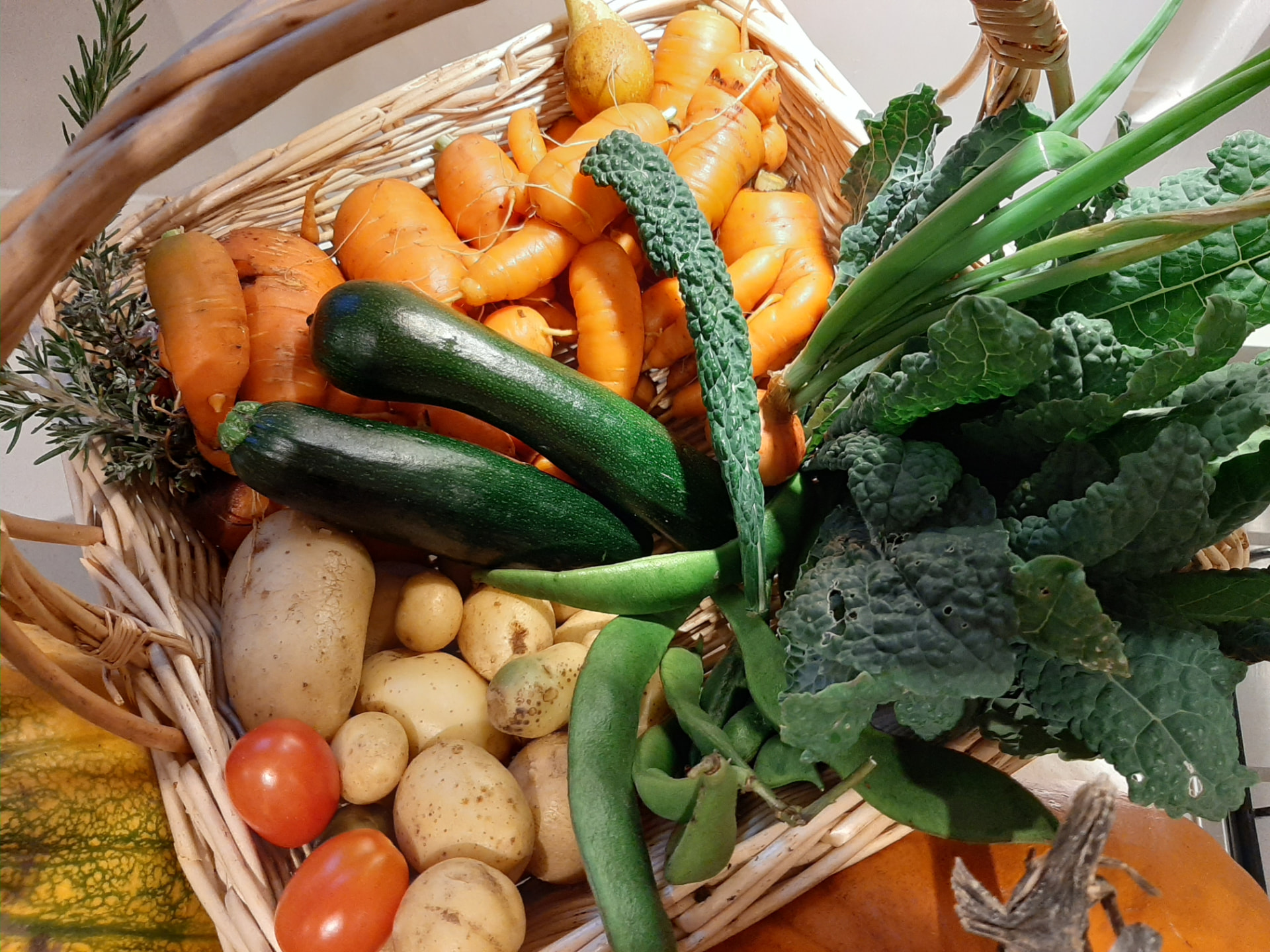 A basket of freshly picked garden vegetables and herbs